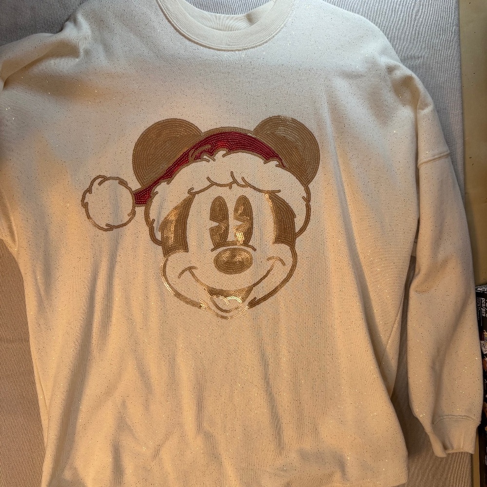 WDW Holiday Spirit Jersey - Medium